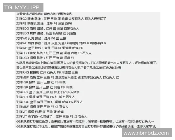 探讨英雄联盟V5战队的灵活性与战术适应性分析